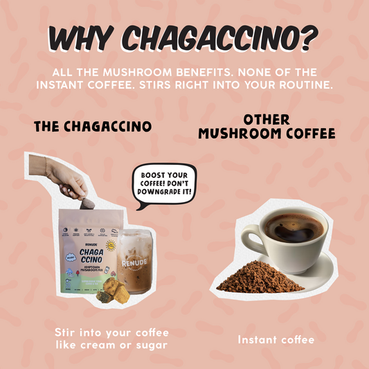 Chagaccino: Adaptogen Boost