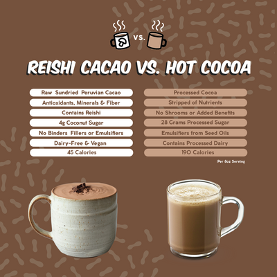 Reishi Cacao: Superfood Hot Chocolate